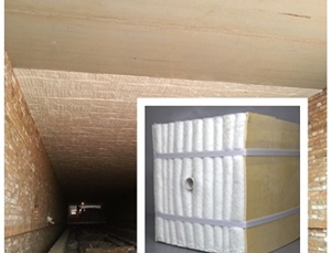 隧道窯用陶瓷纖維模塊廠(chǎng)家 隧道窯用陶瓷纖維模塊廠(chǎng)家